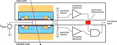 Layered CMOS SPADs for Low Noise Detection of Charged Particles